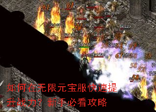 如何在无限元宝服快速提升战力?新手必看攻略 如何在无限元宝服快速提升战力?新手必看攻略