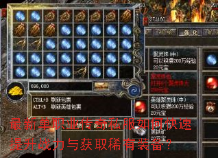 ���µ�ְҵ����˽����ο�������ս�����ȡϡ��װ����