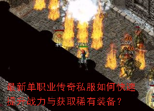 ���µ�ְҵ����˽����ο�������ս�����ȡϡ��װ����