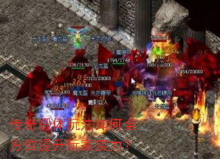 ��������淨���ȫ��λ�������ʵ����