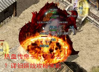 ��Ѫ������µ���ô�ߣ���ϸ·�߹�������