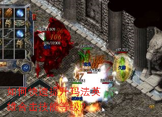 ��ο��������귨Ӣ�ۺϻ����ܵȼ���