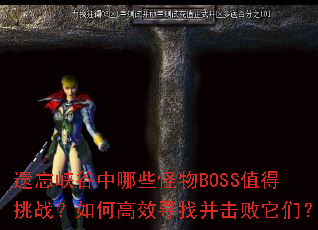 ����Ͽ������Щ����BOSSֵ����ս����θ�ЧѰ�Ҳ��������ǣ�