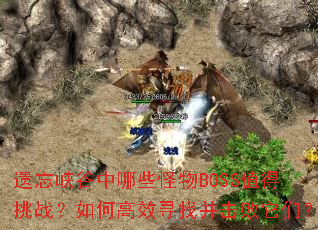����Ͽ������Щ����BOSSֵ����ս����θ�ЧѰ�Ҳ��������ǣ�