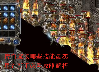 ���������Щ������ʵ�ã����ֱؿ����Խ���