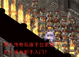 �ĸ�����˽��ƽ̨���ȶ����ʺ��������ţ�