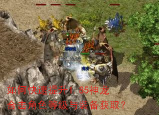 如何快速提升1.85神龙合击角色等级与装备获取? 如何快速提升1.85神龙合击角色等级与装备获取?