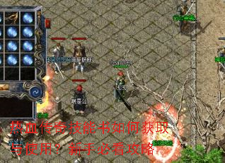 热血传奇技能书如何获取与使用?新手必看攻略 热血传奇技能书如何获取与使用?新手必看攻略