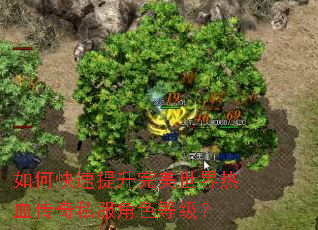 如何快速提升完美世界热血传奇私服角色等级? 如何快速提升完美世界热血传奇私服角色等级?
