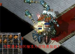 �����ʿ��ξ�׼Ϊ�ٻ��޼�Ѫ��