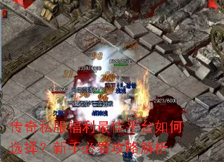 传奇私服福利最佳平台如何选择?新手必看攻略解析 传奇私服福利最佳平台如何选择?新手必看攻略解析