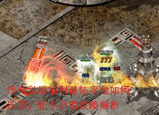 传奇私服福利最佳平台如何选择?新手必看攻略解析 传奇私服福利最佳平台如何选择?新手必看攻略解析
