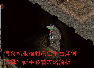 传奇私服福利最佳平台如何选择?新手必看攻略解析 传奇私服福利最佳平台如何选择?新手必看攻略解析