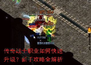 ����սʿְҵ��ο������������ֹ���ȫ����