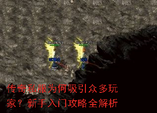 ����˽��Ϊ�������ڶ���ң��������Ź���ȫ����