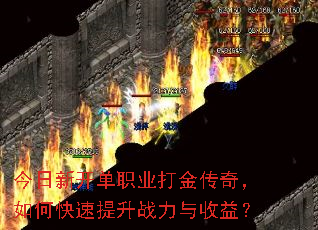 �����¿���ְҵ����棬��ο�������ս�������棿