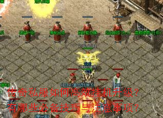 ����˽����θ�Ч�һ�����������Щ�ر�������ע�����