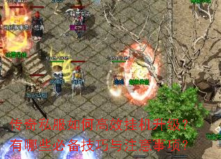 ����˽����θ�Ч�һ�����������Щ�ر�������ע�����