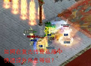 ����ڸ��Ŵ���˽���п���������ɫ�ȼ���