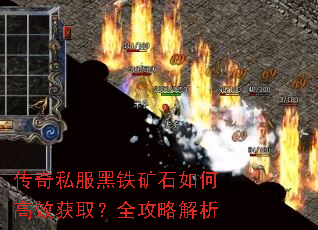 ����˽��������ʯ��θ�Ч��ȡ��ȫ���Խ���