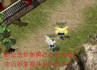 ��Ƥ��ʦ������ķ��������������沢��ɱ���֣�