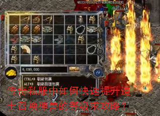 传奇私服中如何快速提升道士召唤神兽的等级求攻略? 传奇私服中如何快速提升道士召唤神兽的等级求攻略?