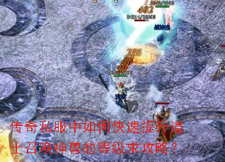 传奇私服中如何快速提升道士召唤神兽的等级求攻略? 传奇私服中如何快速提升道士召唤神兽的等级求攻略?