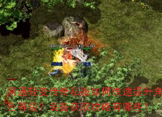 网通轻变传奇私服如何快速提升角色等级?装备获取攻略有哪些? 网通轻变传奇私服如何快速提升角色等级?装备获取攻略有哪些?
