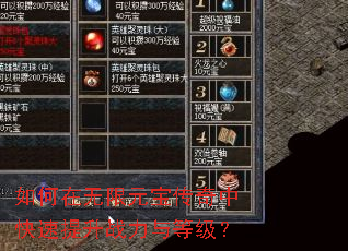 如何在无限元宝传奇中快速提升战力与等级? 如何在无限元宝传奇中快速提升战力与等级?