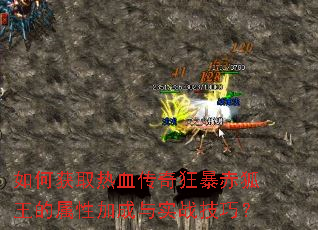 ��λ�ȡ��Ѫ����񱩳���������Լӳ���ʵս���ɣ�