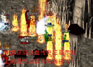 ��λ�ȡ��Ѫ����񱩳���������Լӳ���ʵս���ɣ�